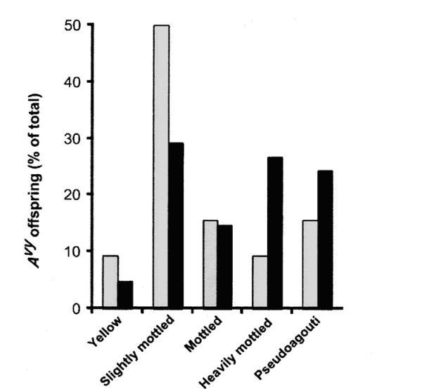 Effets alimentation maternelle.jpg